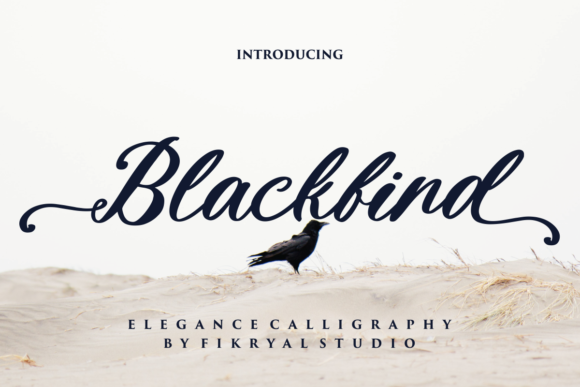Blackbird Script Font Review for Real Projects