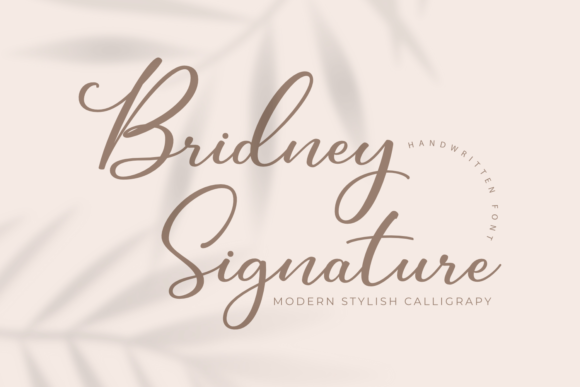 Bridney Signature Font for Business Branding
