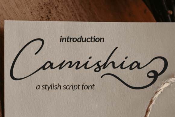 Camishia: A Modern Script Font for Digital Marketing