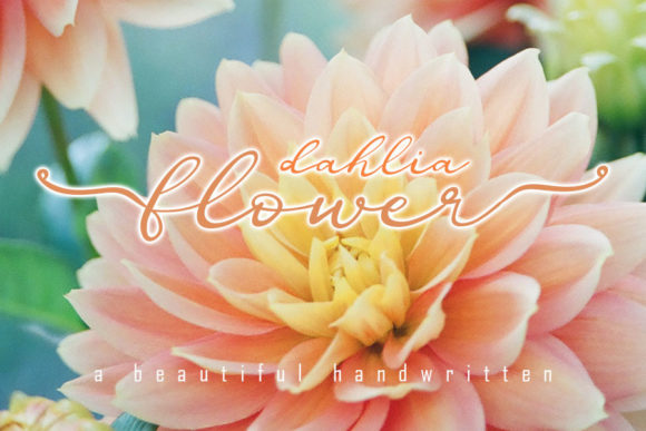 Dahlia Flower Font for Handmade Creations