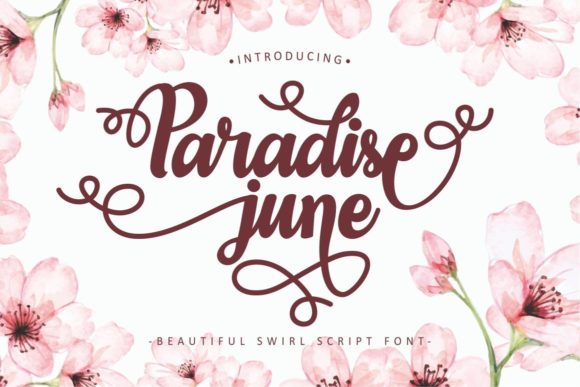 Paradise June Script Font for Editorial Design